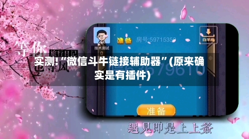 实测!“微信斗牛链接辅助器”(原来确实是有插件)-第2张图片