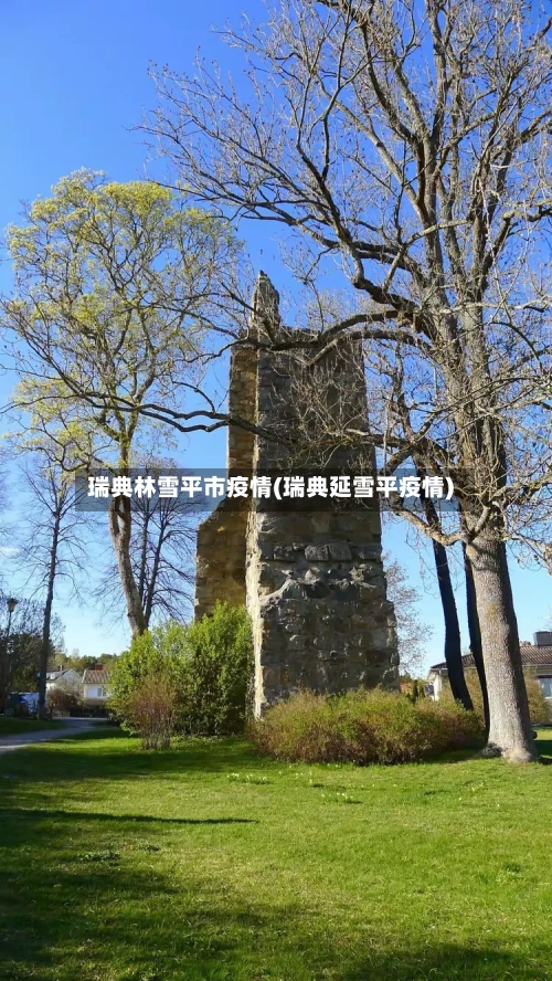 瑞典林雪平市疫情(瑞典延雪平疫情)-第1张图片