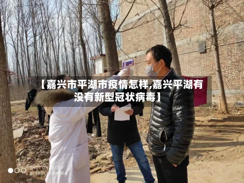 【嘉兴市平湖市疫情怎样,嘉兴平湖有没有新型冠状病毒】-第3张图片