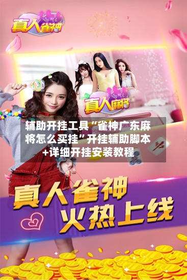 辅助开挂工具“雀神广东麻将怎么买挂	”开挂辅助脚本+详细开挂安装教程-第1张图片