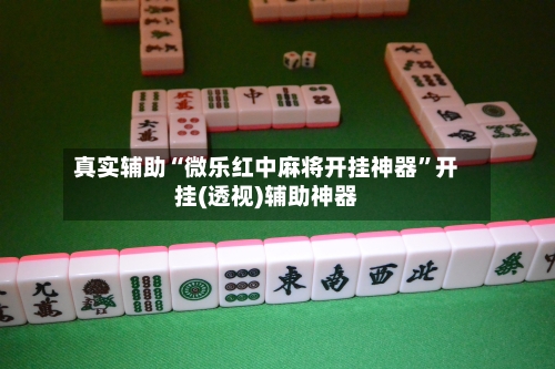 真实辅助“微乐红中麻将开挂神器”开挂(透视)辅助神器-第1张图片