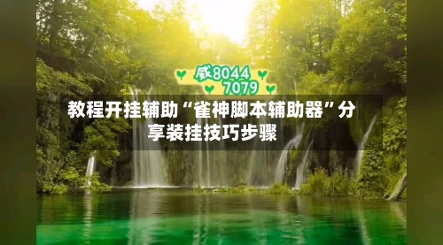 教程开挂辅助“雀神脚本辅助器	”分享装挂技巧步骤-第2张图片