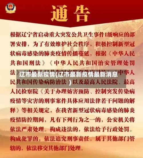 辽市最新疫情(辽市最新疫情最新消息)-第2张图片