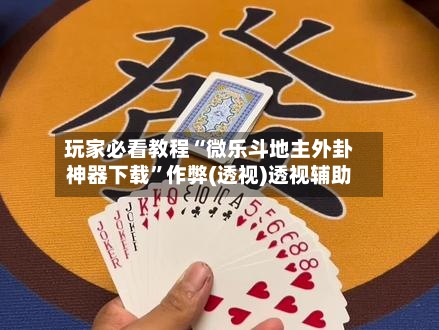 玩家必看教程“微乐斗地主外卦神器下载”作弊(透视)透视辅助-第2张图片