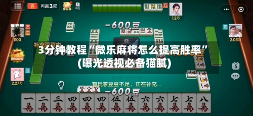 3分钟教程“微乐麻将怎么提高胜率”(曝光透视必备猫腻)-第2张图片