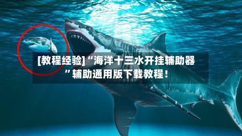 [教程经验]“海洋十三水开挂辅助器	”辅助通用版下载教程！-第1张图片