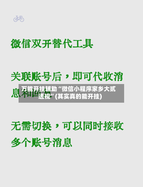 万能开挂辅助“微信小程序家乡大贰透视”(其实真的能开挂)-第1张图片