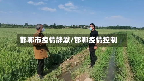 邯郸市疫情静默/邯郸疫情控制-第1张图片