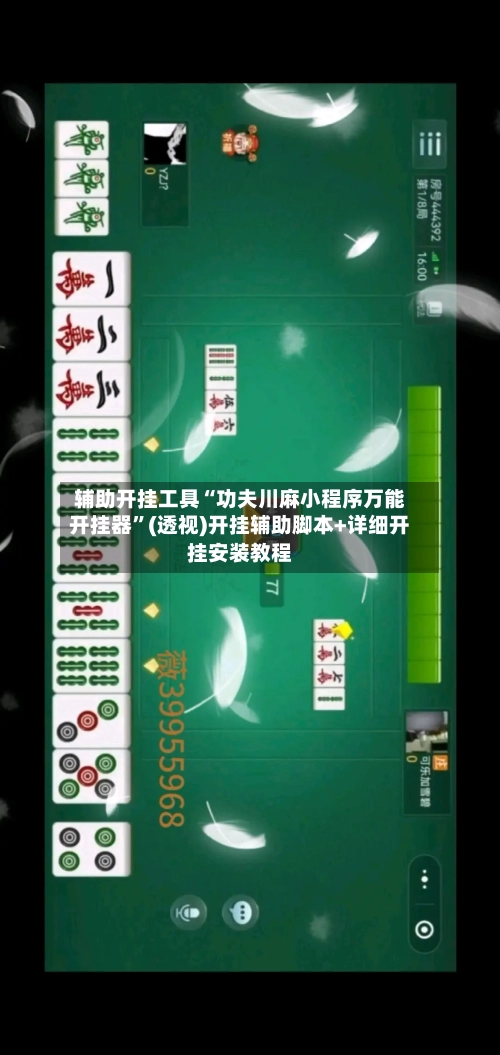 辅助开挂工具“功夫川麻小程序万能开挂器”(透视)开挂辅助脚本+详细开挂安装教程-第1张图片