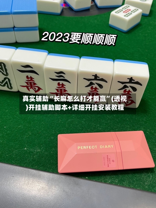 真实辅助“长麻怎么打才能赢”(透视)开挂辅助脚本+详细开挂安装教程-第1张图片
