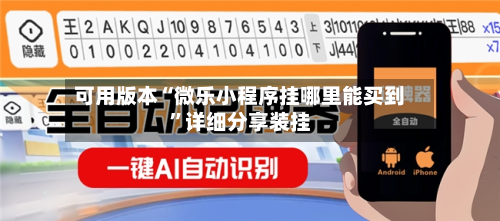 可用版本“微乐小程序挂哪里能买到”详细分享装挂-第3张图片