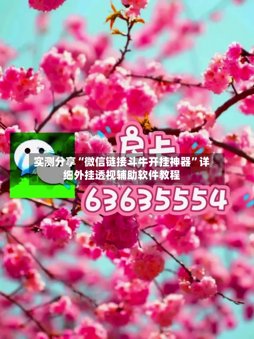 实测分享“微信链接斗牛开挂神器”详细外挂透视辅助软件教程-第1张图片