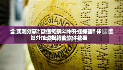 实测分享“微信链接斗牛开挂神器”详细外挂透视辅助软件教程-第3张图片