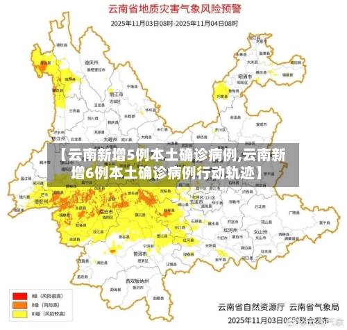 【云南新增5例本土确诊病例,云南新增6例本土确诊病例行动轨迹】-第3张图片