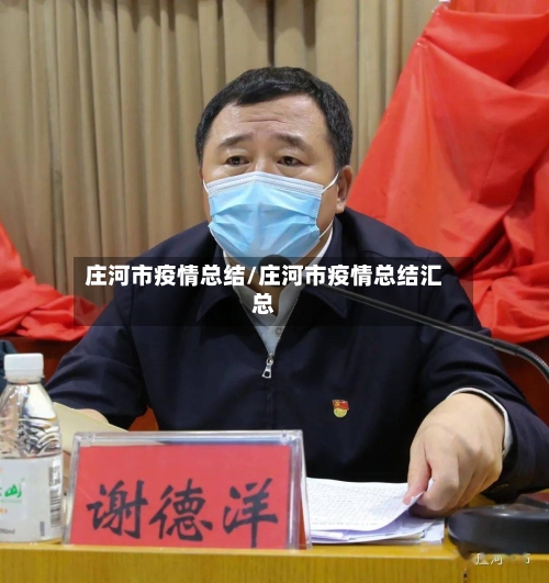 庄河市疫情总结/庄河市疫情总结汇总-第1张图片