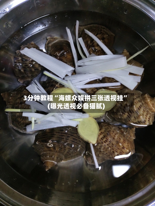 3分钟教程“海螺众娱拼三张透视挂”(曝光透视必备猫腻)-第1张图片