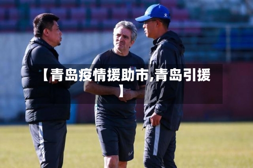 【青岛疫情援助市,青岛引援】-第2张图片