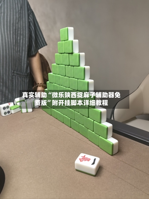真实辅助“微乐陕西捉麻子辅助器免费版”附开挂脚本详细教程-第3张图片