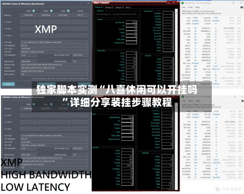 独家脚本实测“八喜休闲可以开挂吗”详细分享装挂步骤教程-第1张图片
