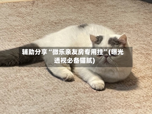 辅助分享“微乐亲友房专用挂	”(曝光透视必备猫腻)-第2张图片