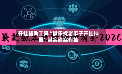 开挂辅助工具“微乐捉老麻子开挂神器	”其实确实有挂-第2张图片