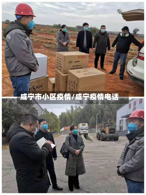 咸宁市小区疫情/咸宁疫情电话-第2张图片