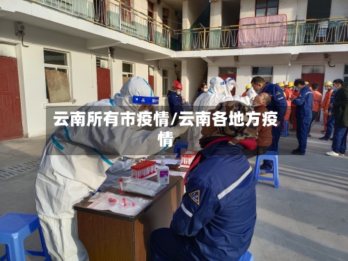 云南所有市疫情/云南各地方疫情-第1张图片