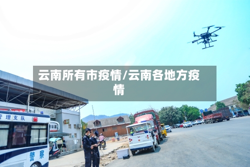 云南所有市疫情/云南各地方疫情-第2张图片