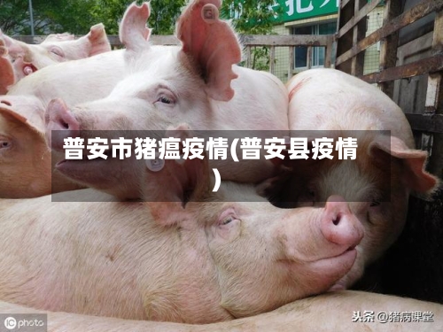普安市猪瘟疫情(普安县疫情)-第1张图片