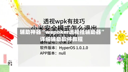 辅助神器“wepoker透视挂辅助器”详细辅助软件教程-第1张图片