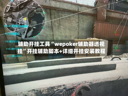 辅助开挂工具“wepoker辅助器透视挂	”开挂辅助脚本+详细开挂安装教程-第2张图片