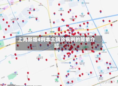 上海新增4例本土确诊病例的简单介绍-第1张图片