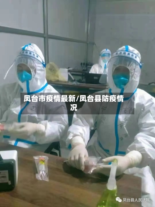 凤台市疫情最新/凤台县防疫情况-第3张图片