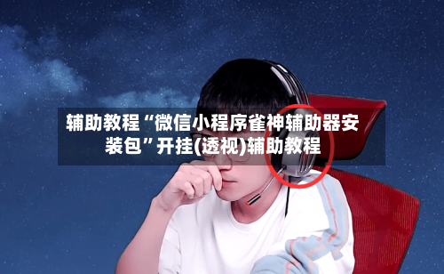辅助教程“微信小程序雀神辅助器安装包”开挂(透视)辅助教程-第3张图片
