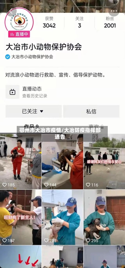 鄂州市大冶市疫情/大冶防疫指挥部通告-第2张图片