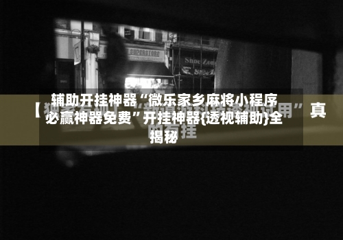 辅助开挂神器“微乐家乡麻将小程序必赢神器免费”开挂神器{透视辅助}全揭秘-第3张图片