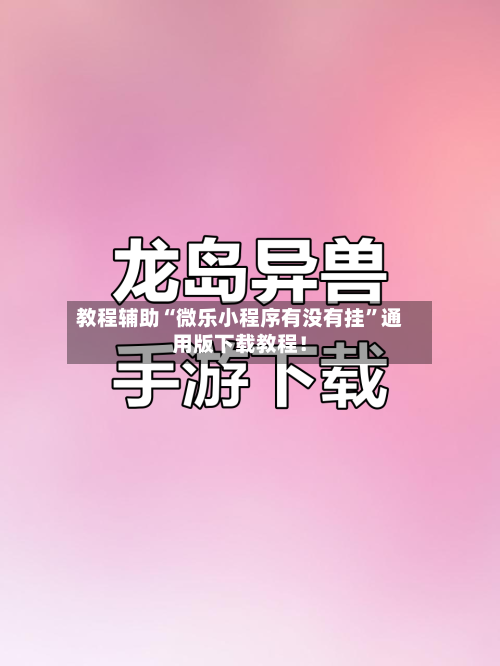 教程辅助“微乐小程序有没有挂	”通用版下载教程！-第2张图片