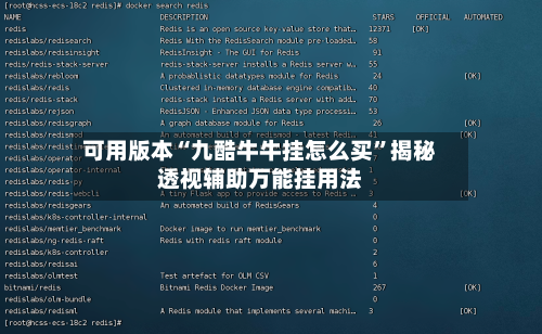 可用版本“九酷牛牛挂怎么买”揭秘透视辅助万能挂用法-第2张图片