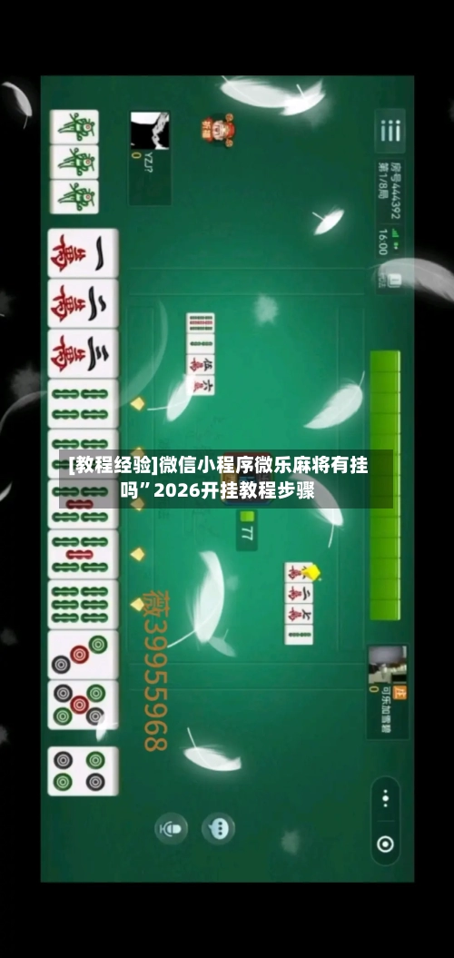 [教程经验]微信小程序微乐麻将有挂吗	”2026开挂教程步骤-第1张图片