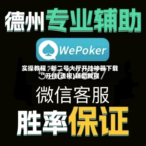 实操教程“新二号大厅开挂神器下载”开挂(透视)辅助教程-第3张图片