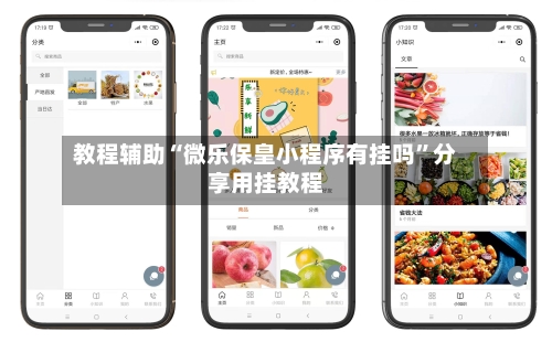 教程辅助“微乐保皇小程序有挂吗”分享用挂教程-第1张图片