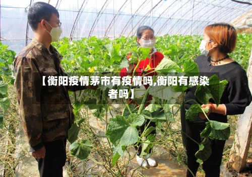 【衡阳疫情茅市有疫情吗,衡阳有感染者吗】-第3张图片