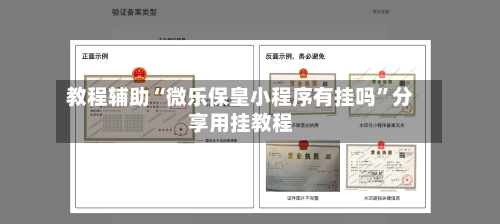 教程辅助“微乐保皇小程序有挂吗	”分享用挂教程-第2张图片
