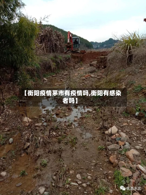 【衡阳疫情茅市有疫情吗,衡阳有感染者吗】-第1张图片