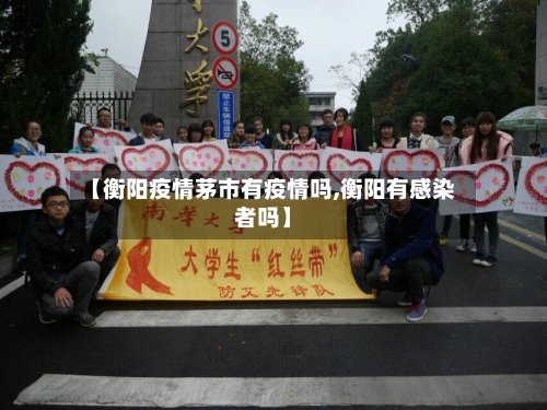 【衡阳疫情茅市有疫情吗,衡阳有感染者吗】-第2张图片