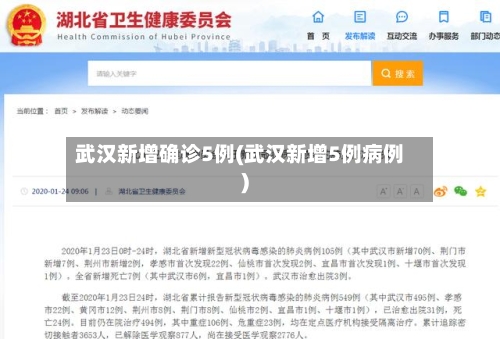 武汉新增确诊5例(武汉新增5例病例)-第3张图片