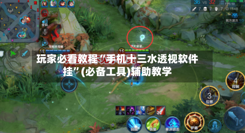 玩家必看教程“手机十三水透视软件挂	”(必备工具)辅助教学-第2张图片