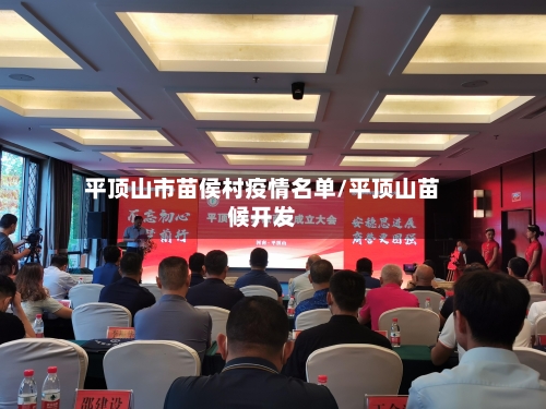 平顶山市苗侯村疫情名单/平顶山苗候开发-第3张图片