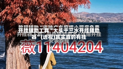 开挂辅助工具“大头十三水开挂辅助器”(透视)其实真的有挂-第3张图片