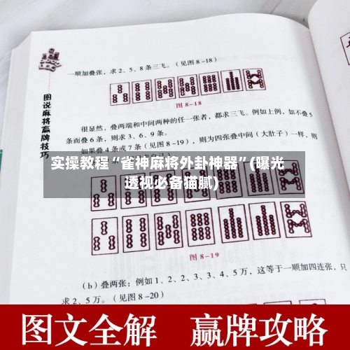 实操教程“雀神麻将外卦神器	”(曝光透视必备猫腻)-第2张图片